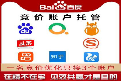 某某sem代运营公司：精准投放的背后策略